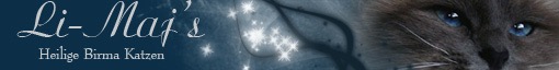 banner li-maj's