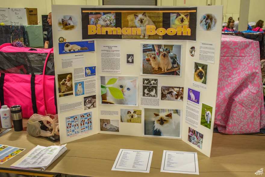 BirmanBooth-1.jpg