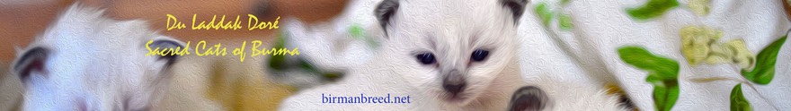 DuLaddakBanner