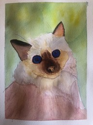 IMG_5697.jpeg