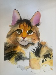 IMG_5796.jpeg