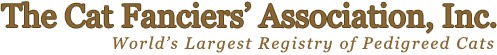 logo text