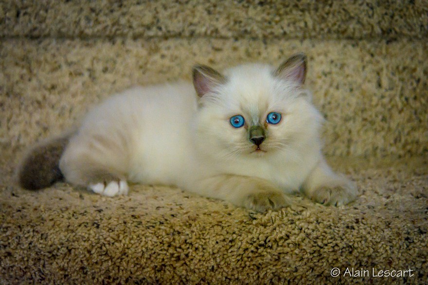 Mithril's Stairs-1