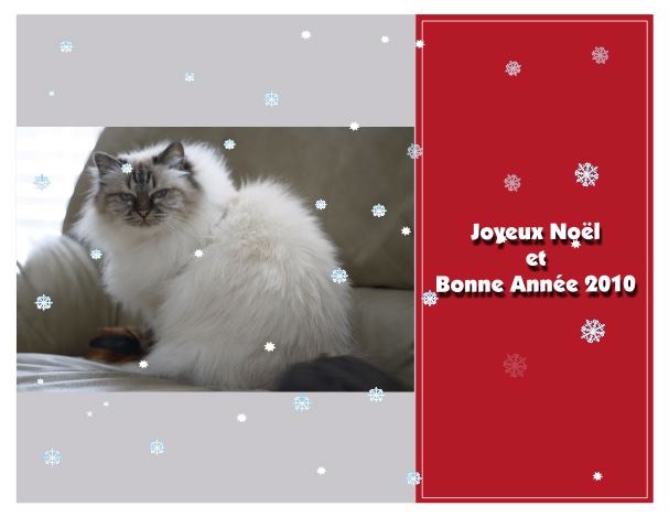 Online Greeting