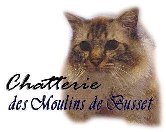 p moulins