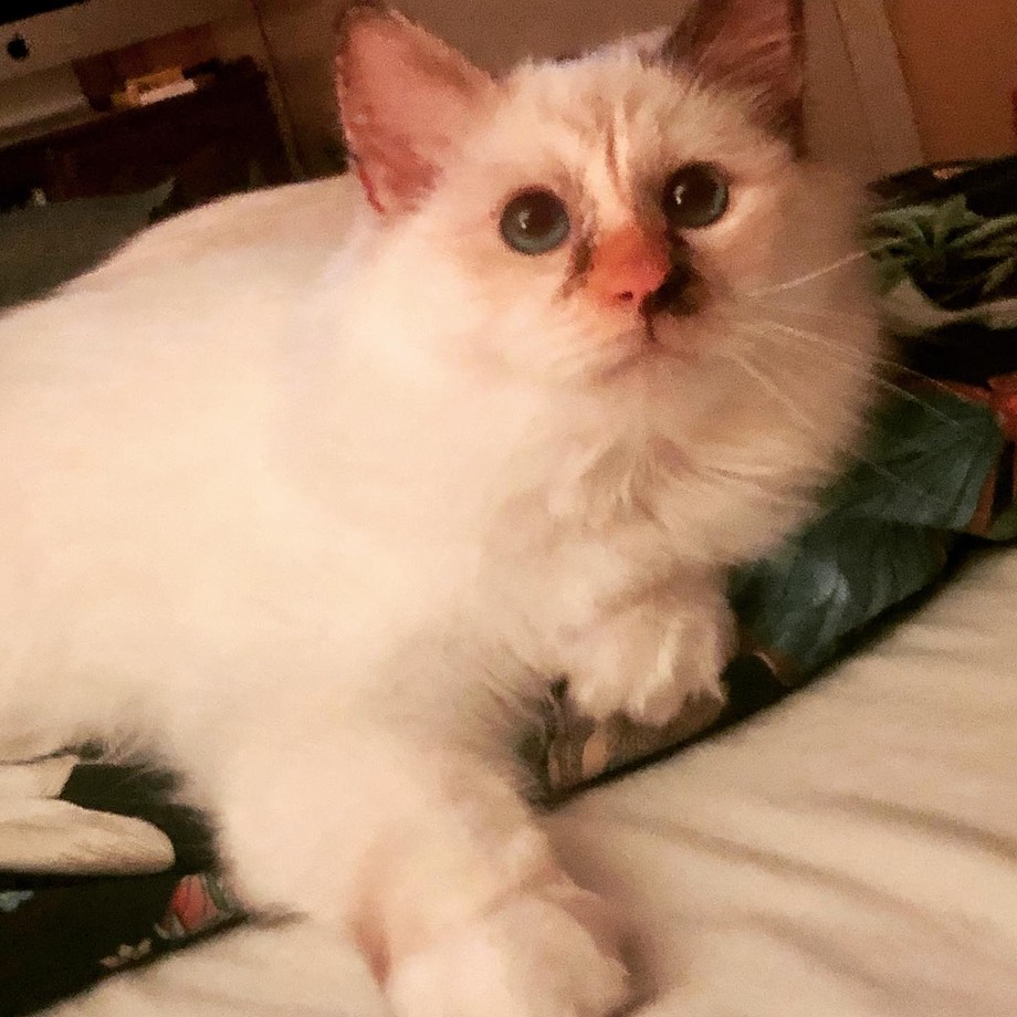 Samantha