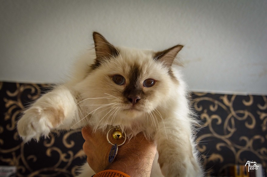 Wilsonportrait-3