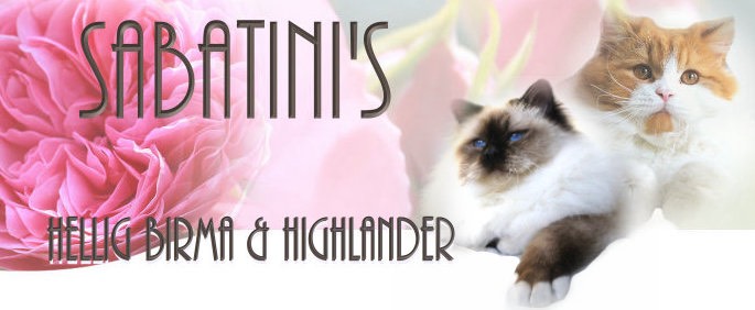 www.sabatinis